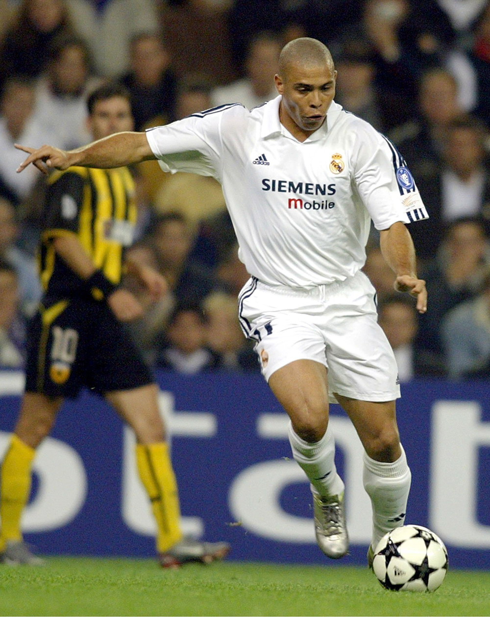 赛的身影 赛的身影