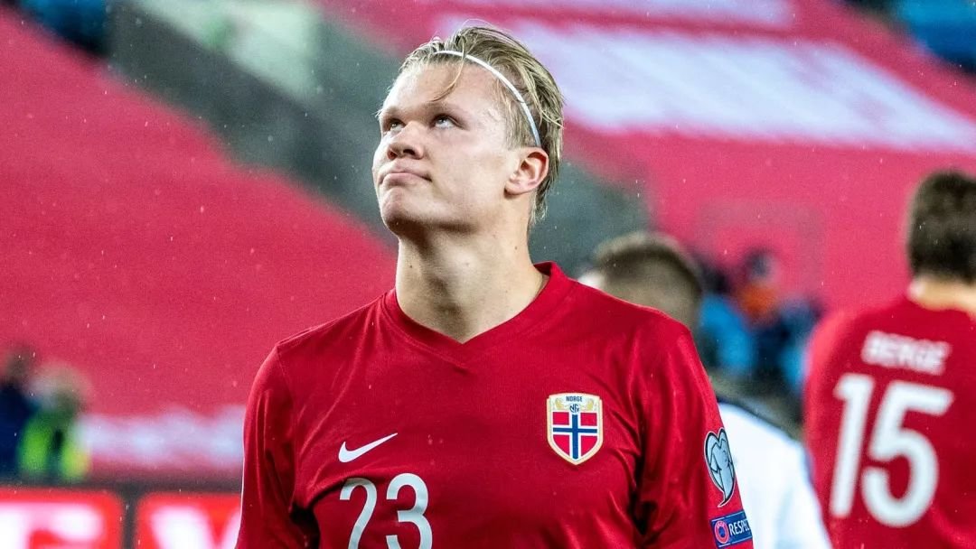 企的试驾活 企的试驾活